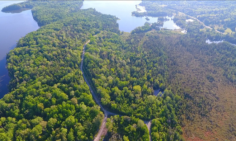 25 Acres Of Forested...