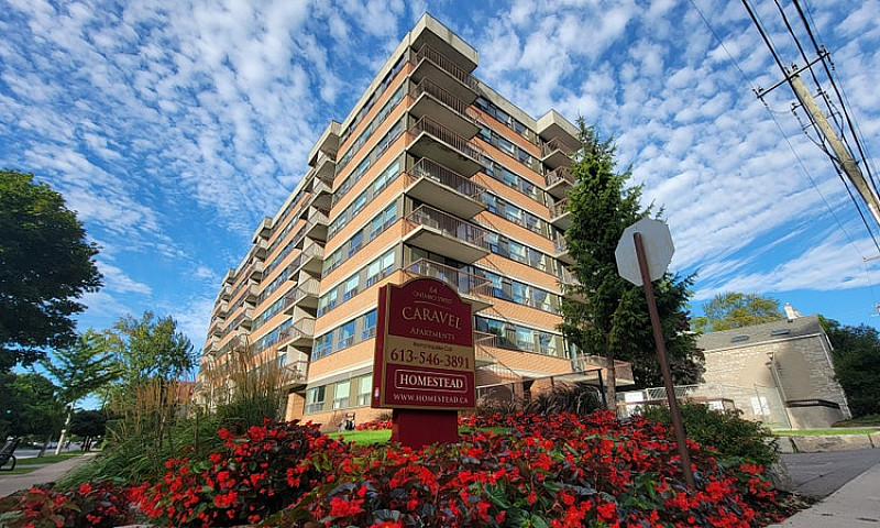 1 Bedroom Apartment ...