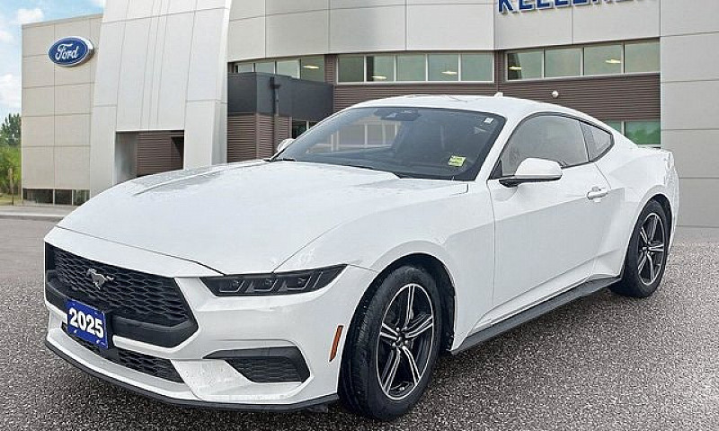 2025 Ford Mustang Ec...