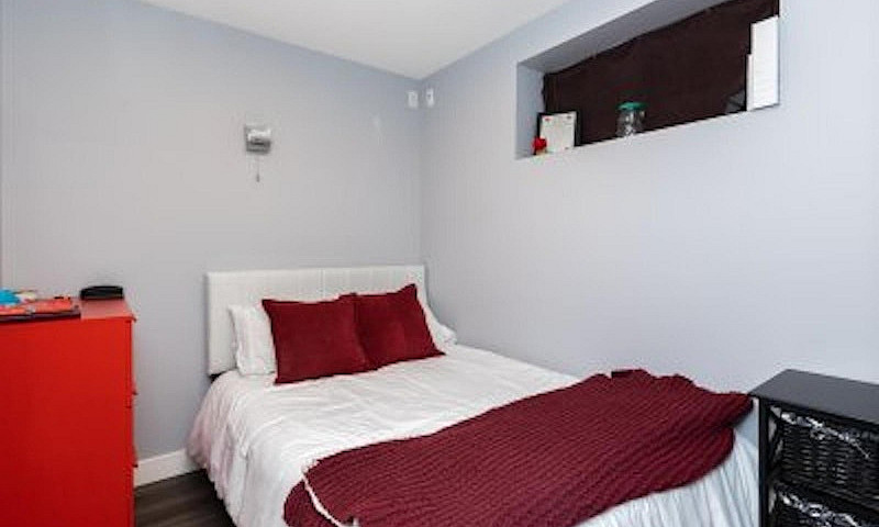 Basement 20454 91A A...