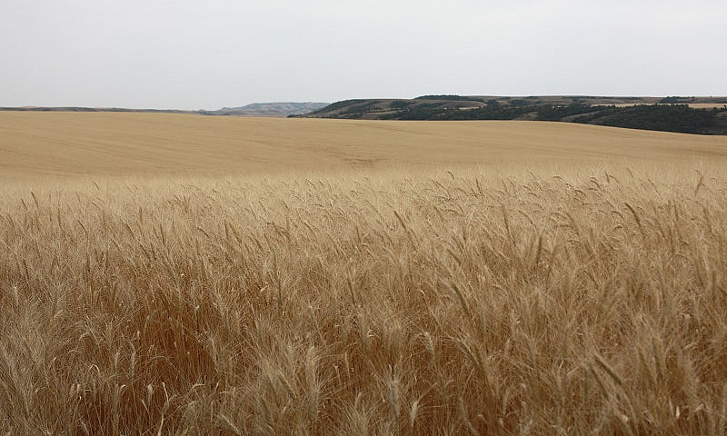 214.99 Acres | Rm Of...