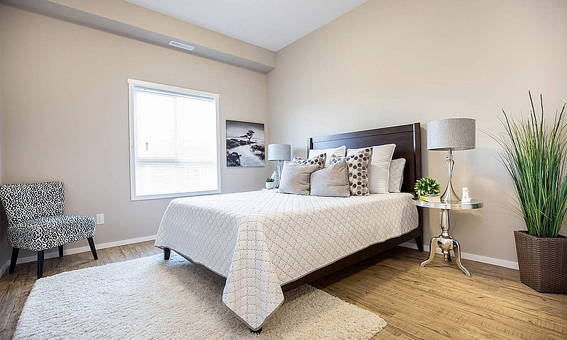 Pet-Friendly Three B...