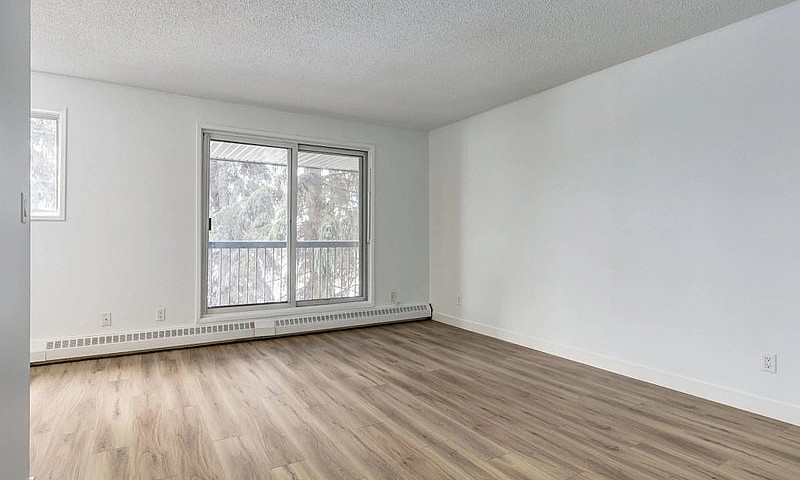 Spacious Apartments ...