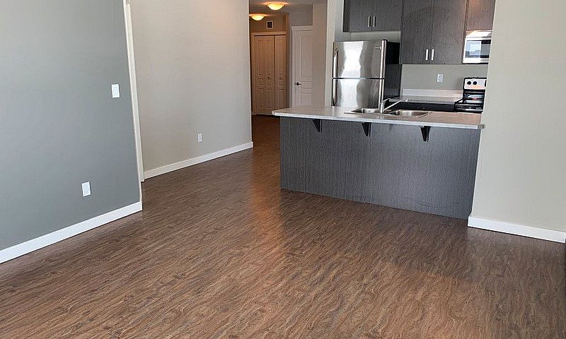 308 217 Lake Street ...