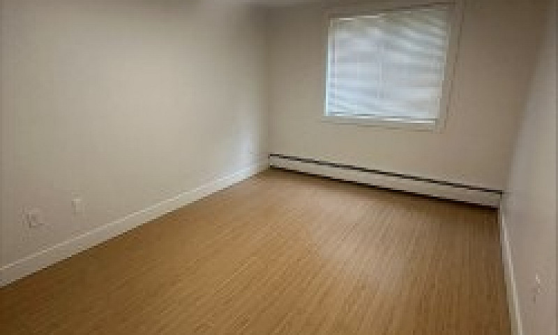 2 Bedroom - Newly Re...