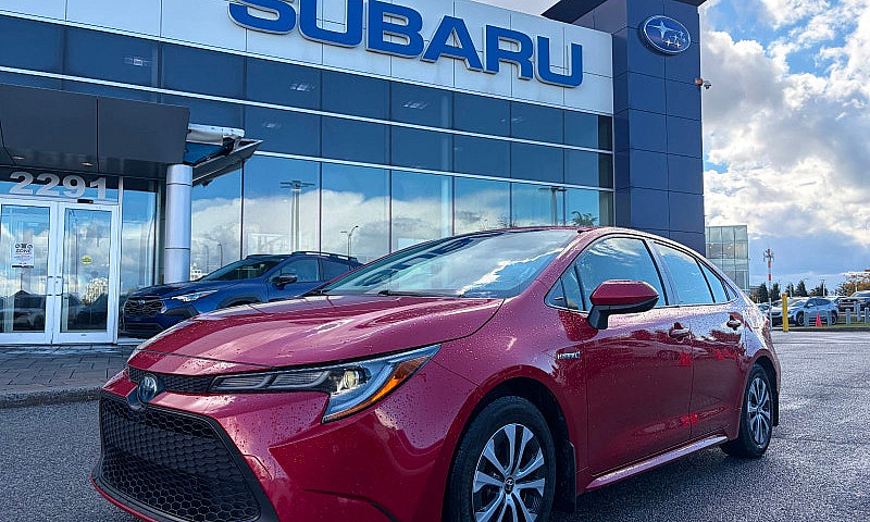 2020 Toyota Corolla ...
