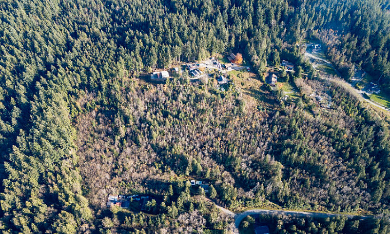 4.79 Acre Property I...