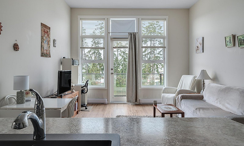 1 Bedroom + Den Apar...