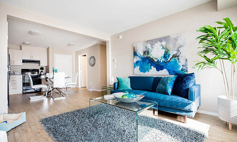 Pet-Friendly Three B...