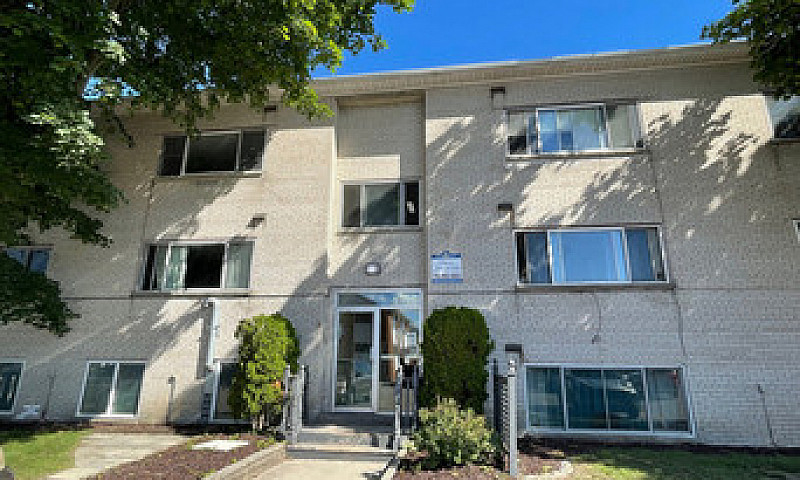 1 Bedroom Apartment ...