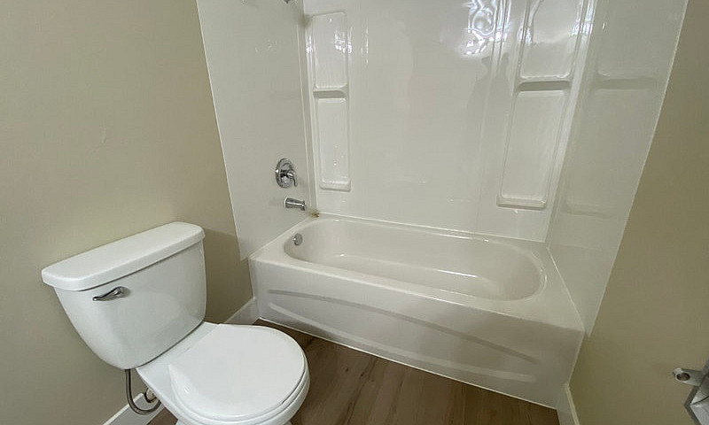 2 Bed, 1 Bath Starti...