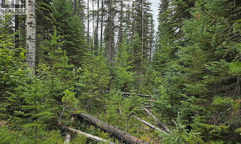 Lot 5 Bowron Lake Ro...
