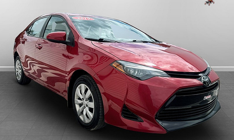 2019 Toyota Corolla ...