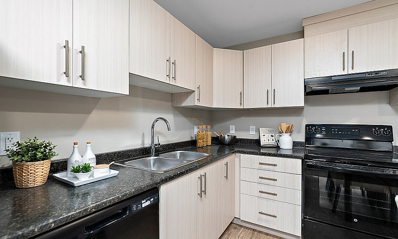 Pet-Friendly One Bed...
