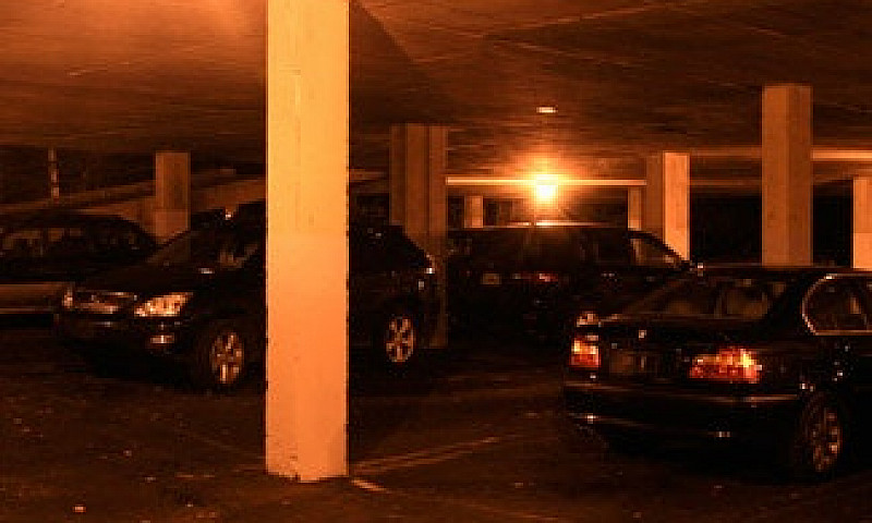 1 Bdrm Apt-Quinpool ...