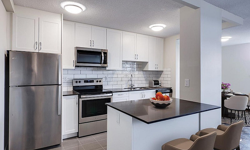 1 Bedroom Apartment ...