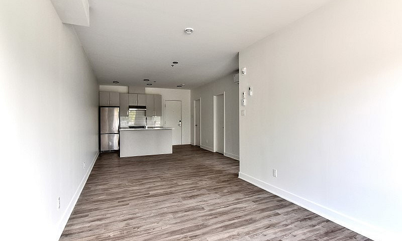 1 Chambre Condo Appa...