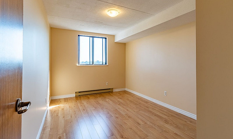 1 Bedroom Apartment ...