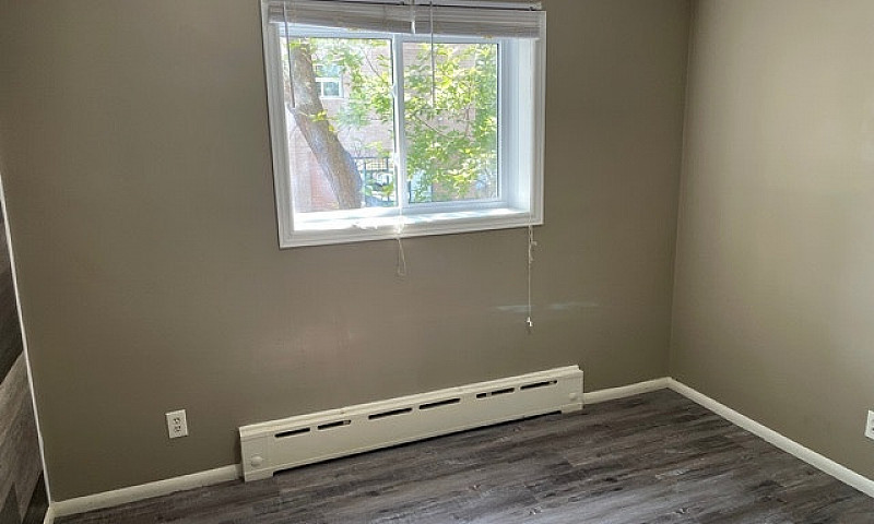 506 Balmoral - 1 Br ...