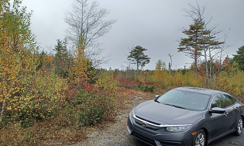 11 Acres Of Land On ...