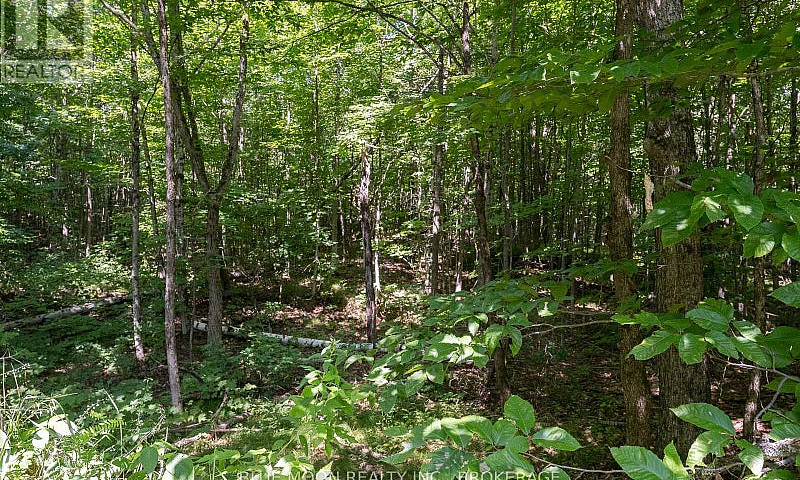 1531 Myers Cave Road...