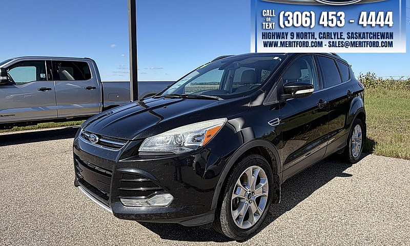 2014 Ford Escape Tit...