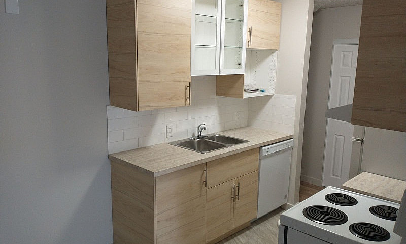 Renovated 1 Bdr - 10...