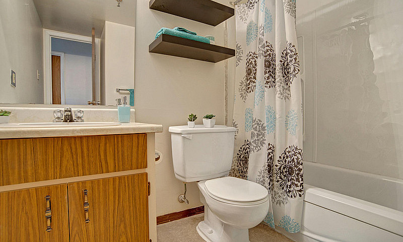 1 Bed X 1 Bath Apart...