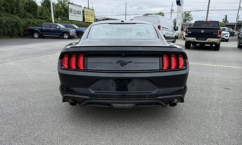 2019 Ford Mustang Ec...