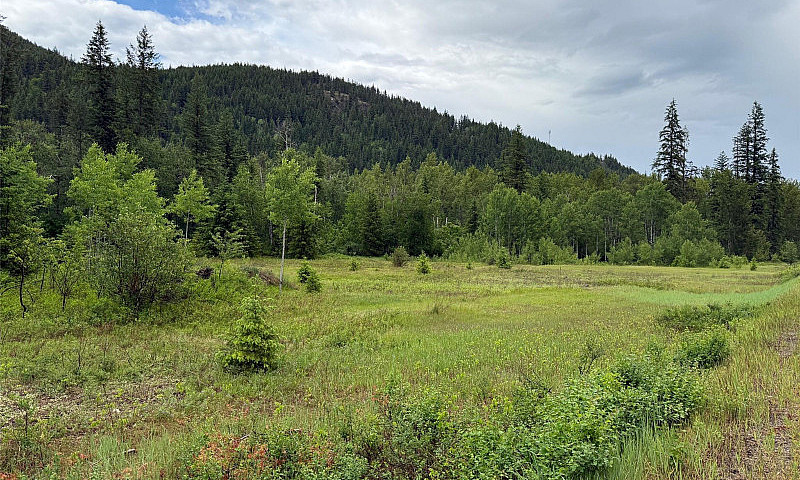 Mid Size Acreage Wit...