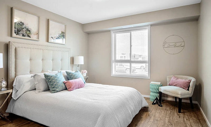 Pet-Friendly Three B...