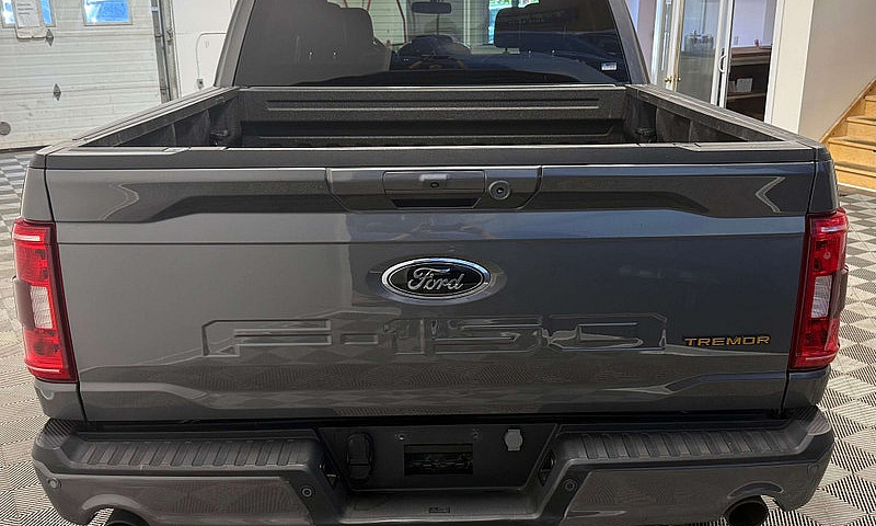 2023 Ford F-150 Trem...