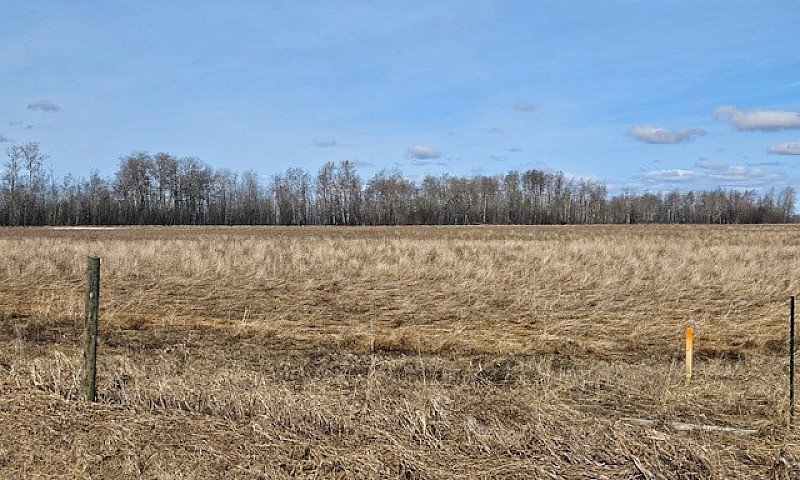 10.08 Acres - Vacant...