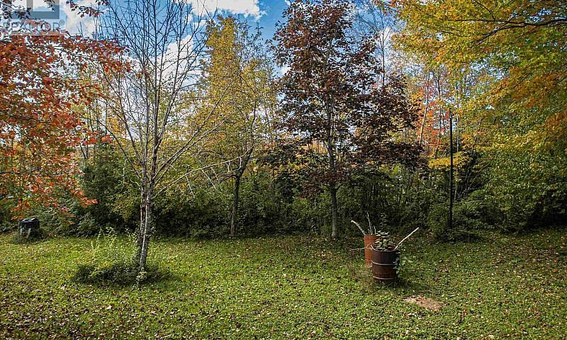 5 Tannery Drive Elms...