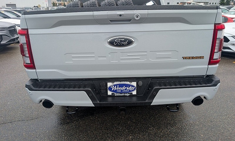 2023 Ford F-150 Trem...