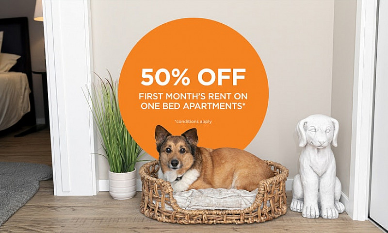 Pet-Friendly Three B...