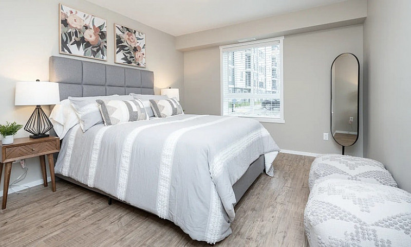 Pet-Friendly Three B...
