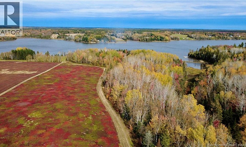 31.7 Acres Straight ...