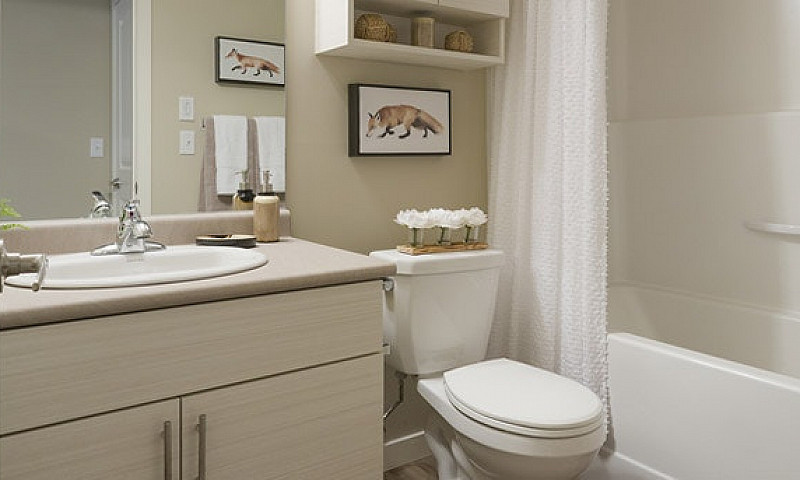 Element Townhomes In...