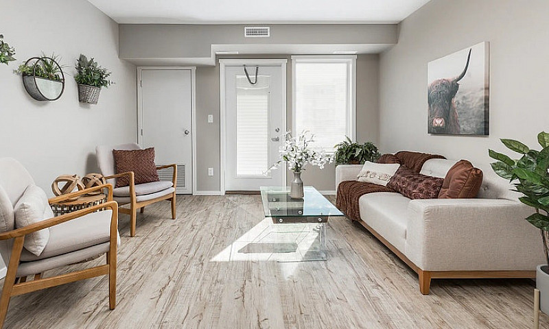 Pet-Friendly One Bed...
