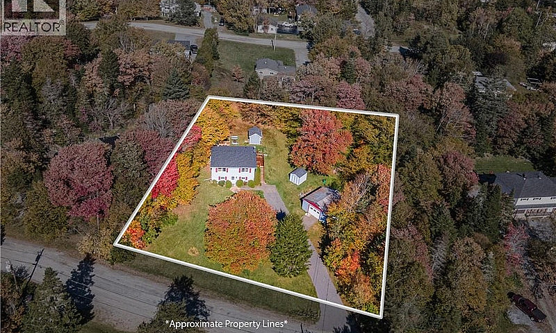 10 Birch Lane Willow...