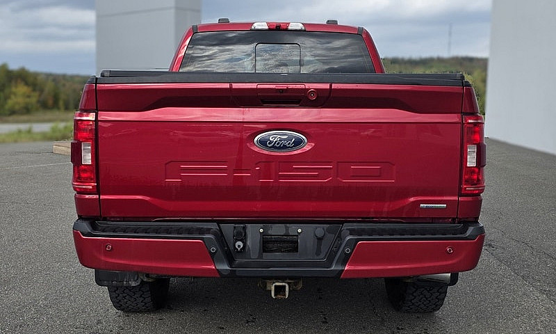 2021 Ford F-150 Xlt ...