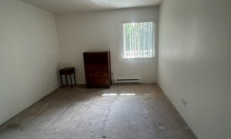 Bright & Spacious 1-...