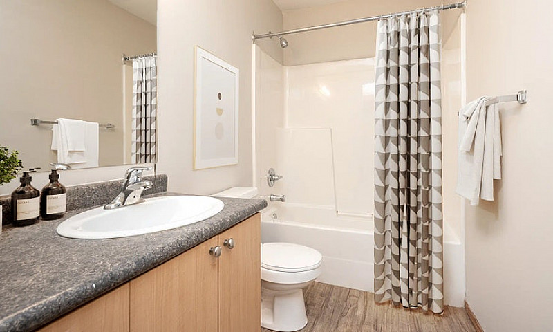 Pet-Friendly One Bed...