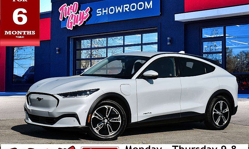 2022 Ford Mustang Ma...
