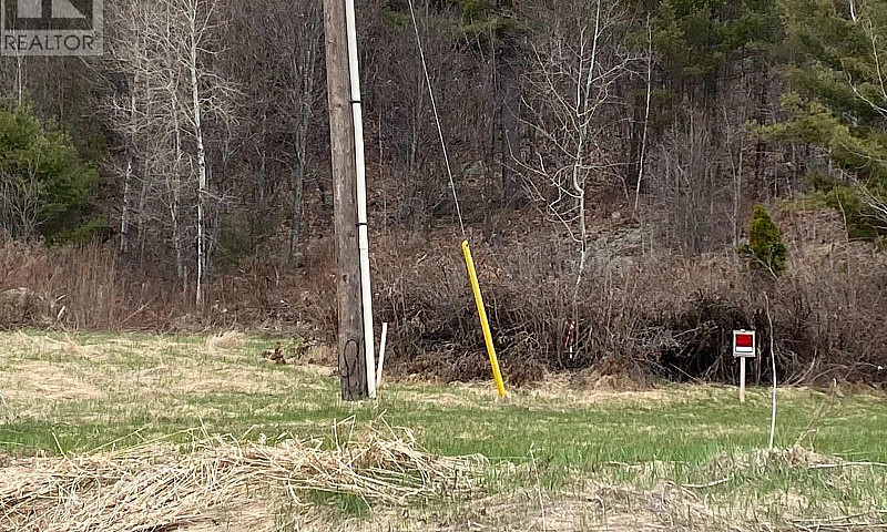0 On-17 (Trans Canad...