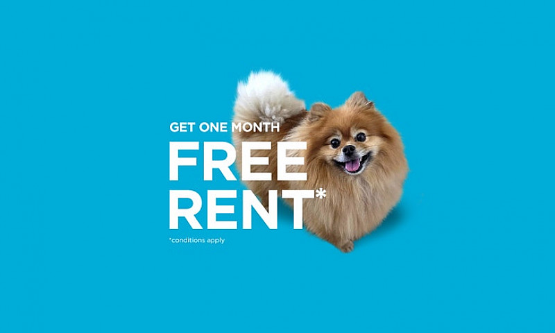 Pet-Friendly One Bed...