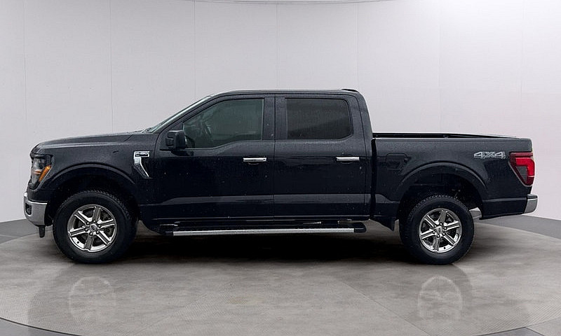 2025 Ford F-150 Xlt ...