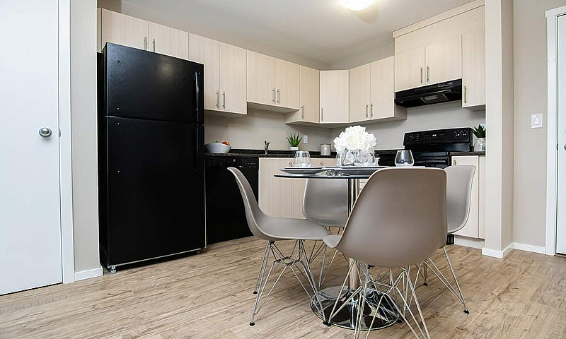 Pet-Friendly One Bed...