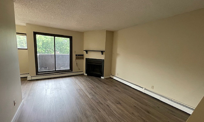 Spacious 2 Level 2 B...